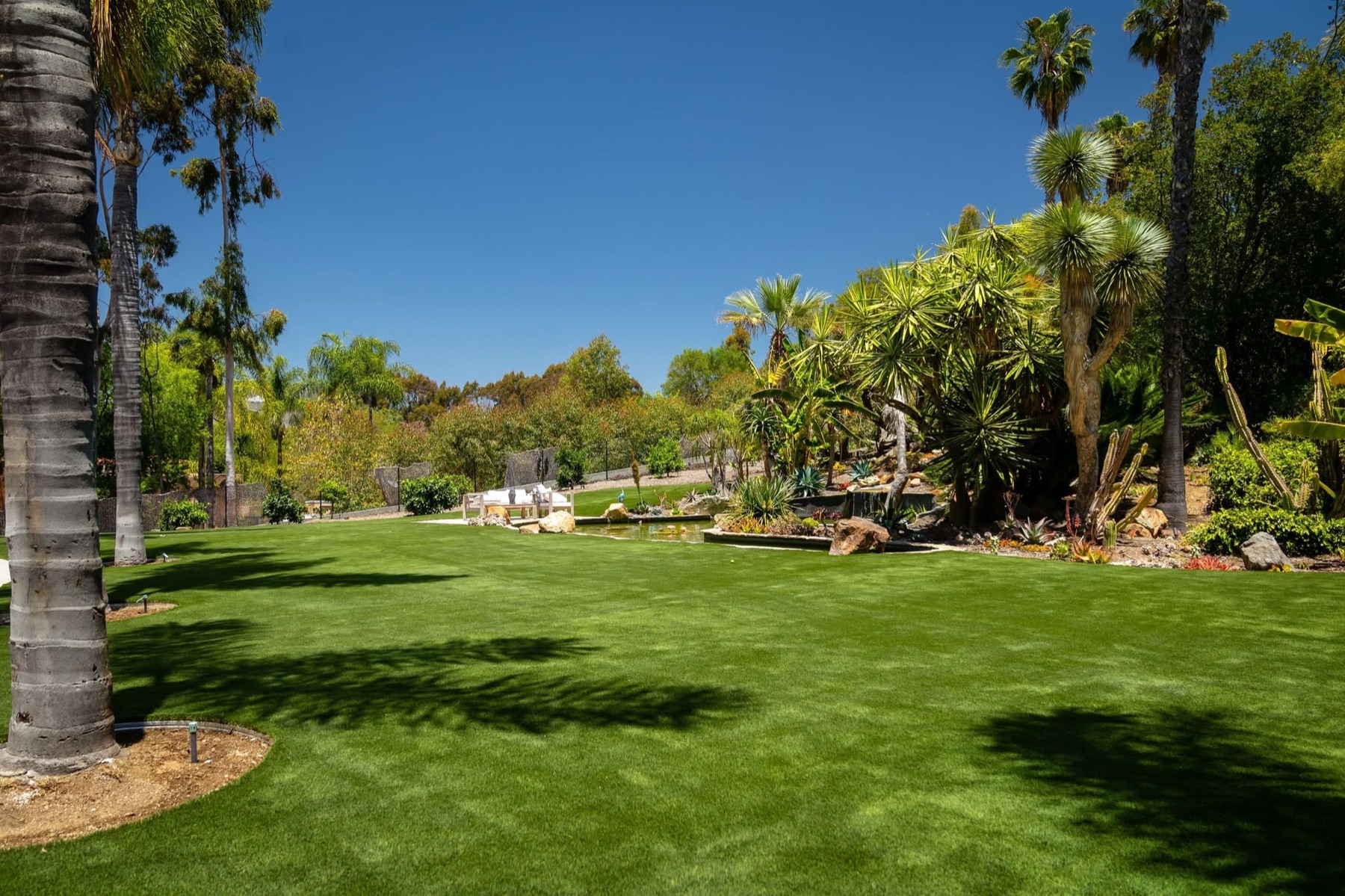 Broad turf lawn under palms with a pond and seating at an estate, by Evo Turf and Pavers.